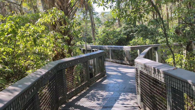 The Boardwalk Trail Was Designed To Protect The Wetlands Below