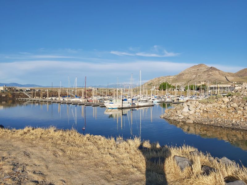 Warm Months Turn This Quiet Shoreline Into A Local Favorite