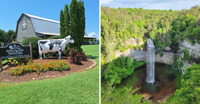 11 Stunning Places You Wouldn’t Expect To Find In Tennessee