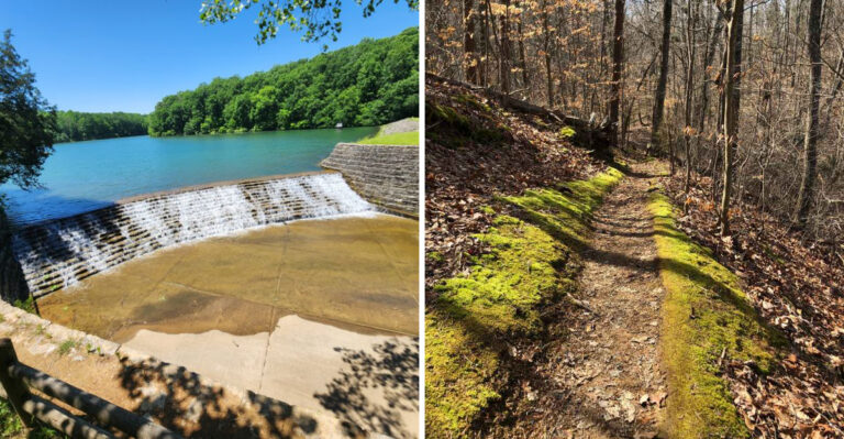 12 Underrated Tennessee State Parks That Deserve A Spot On Your Road Trip Plans