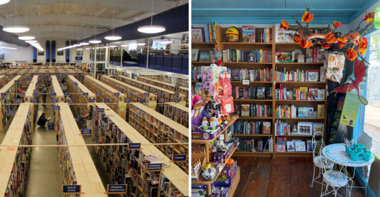 13 Enormous Bookstores In Tennessee Worth Getting Lost In During 2026