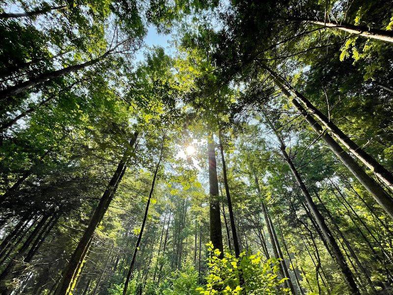 Great Smoky Mountains National Park