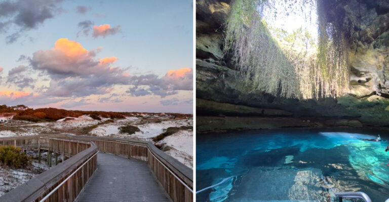15 Unforgettable Day Trips To Take Around Florida This Year