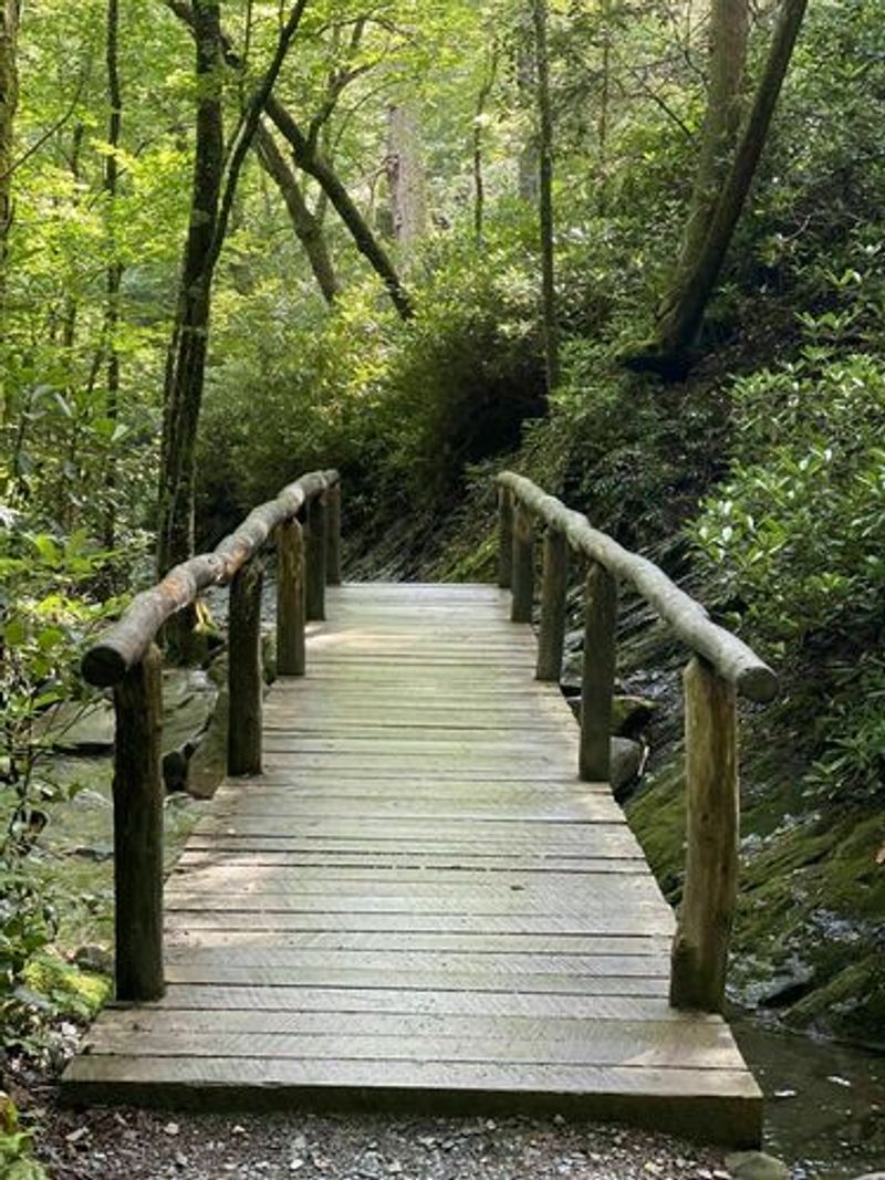 Alum Cave Trail To Mount LeConte