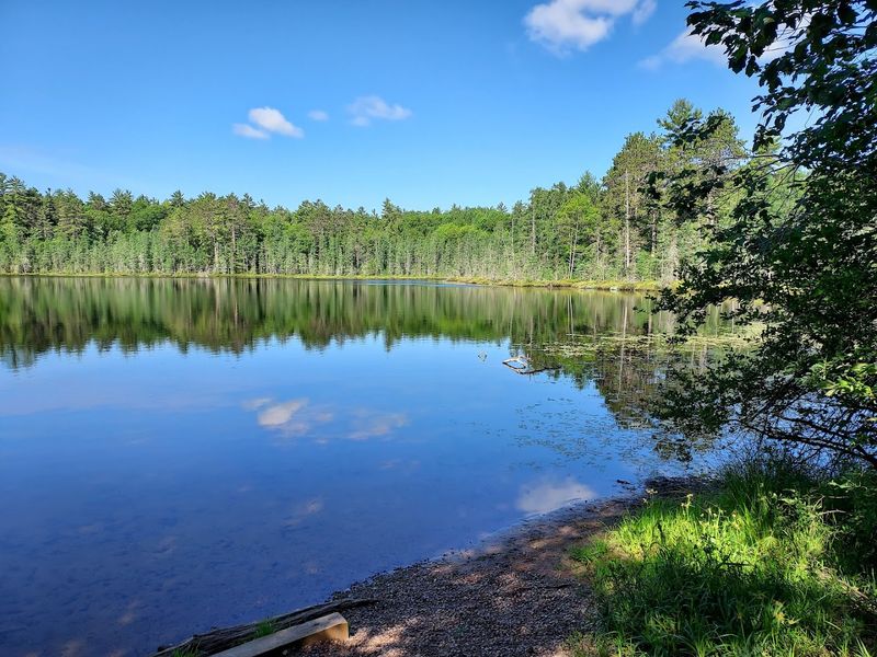 Starrett Lake (Northern Highland–American Legion State Forest)