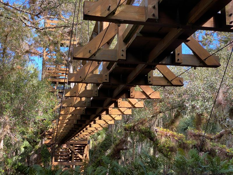 The Canopy Walk Is Part Of The William S Boylston Nature Trail