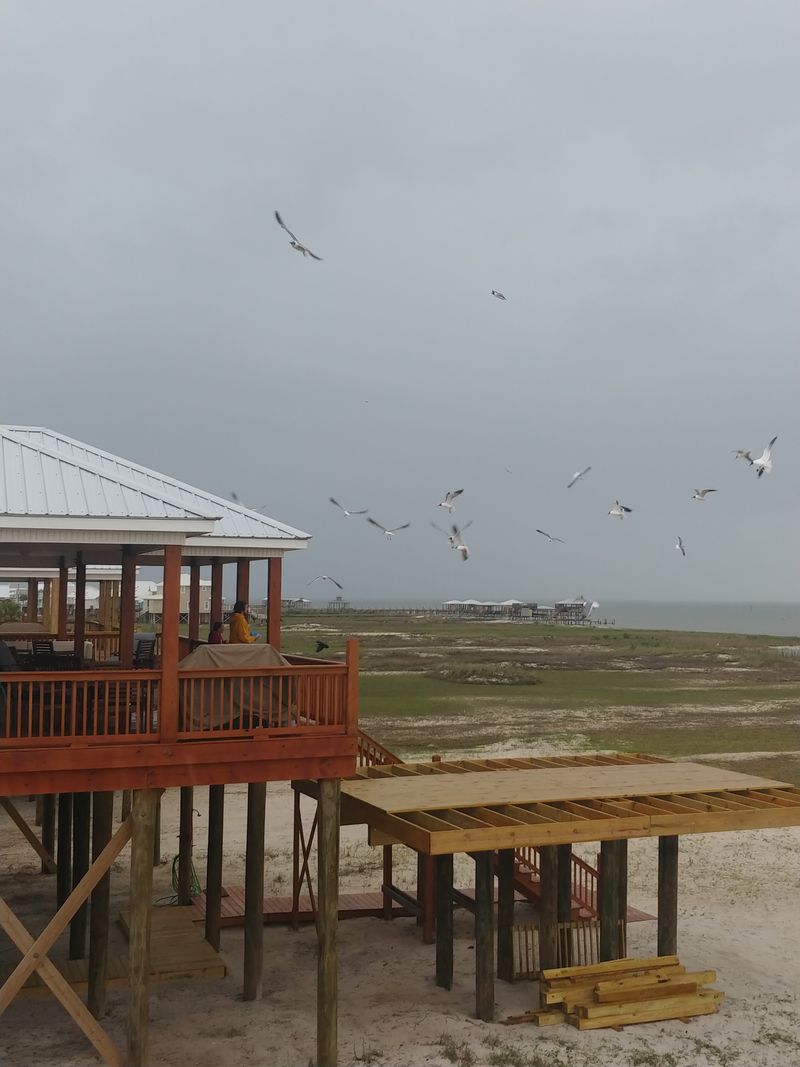 One Of Alabama's Best Spots For Birdwatching And Migration