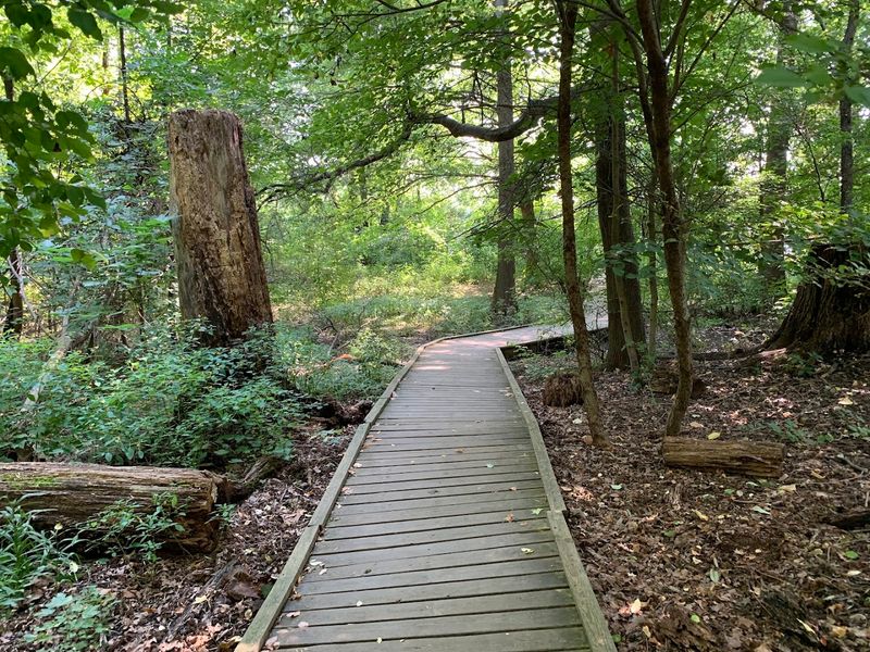 The Unique Beauty Of Bartram's Garden's Spaces