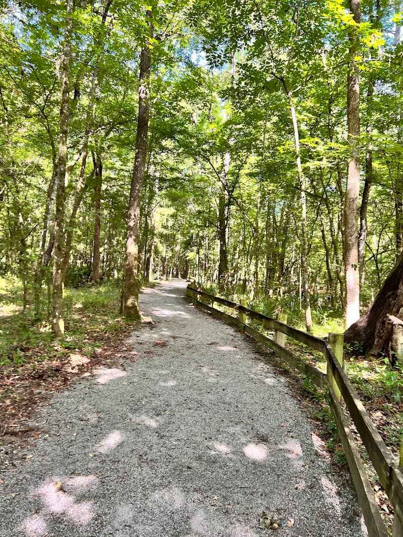 The Half-Mile Rim Trail With Sweeping Views