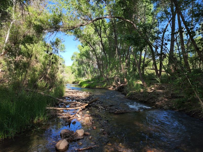 Trails Through Cottonwood's Verde Valley Offer All-Day Hikes