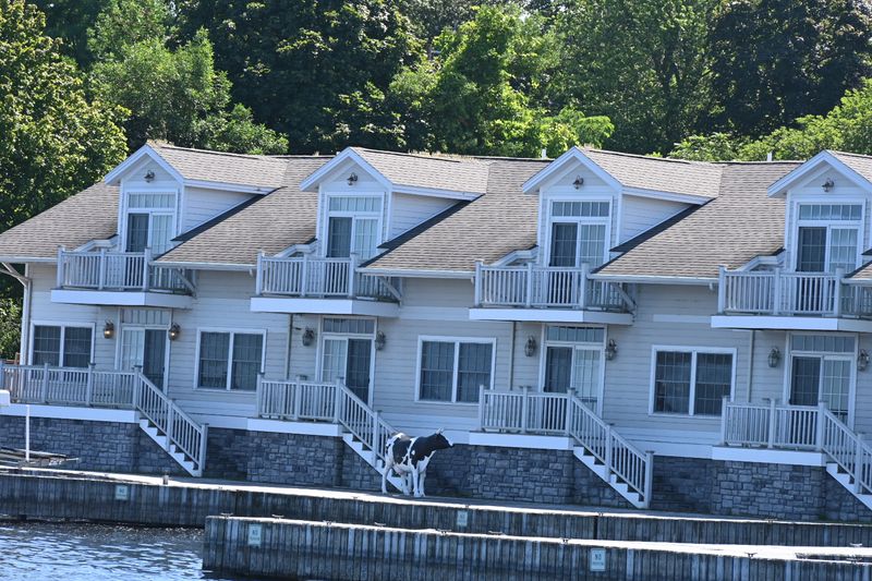 The Economics Of Enough Instead Of More