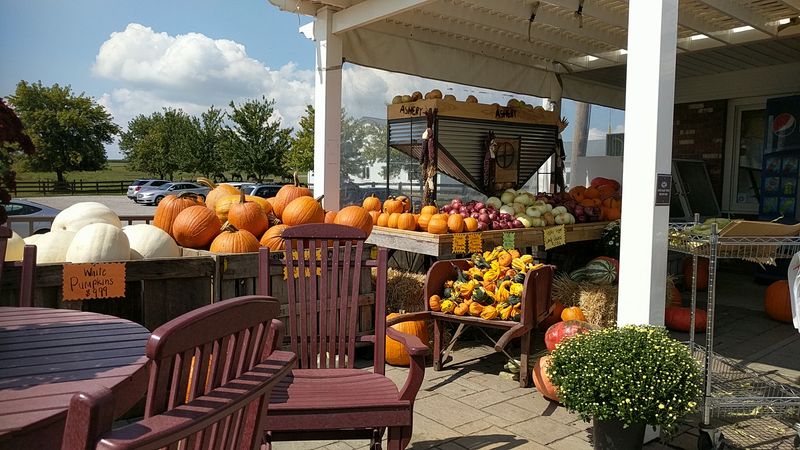 Consistency That Builds Loyalty Across Generations