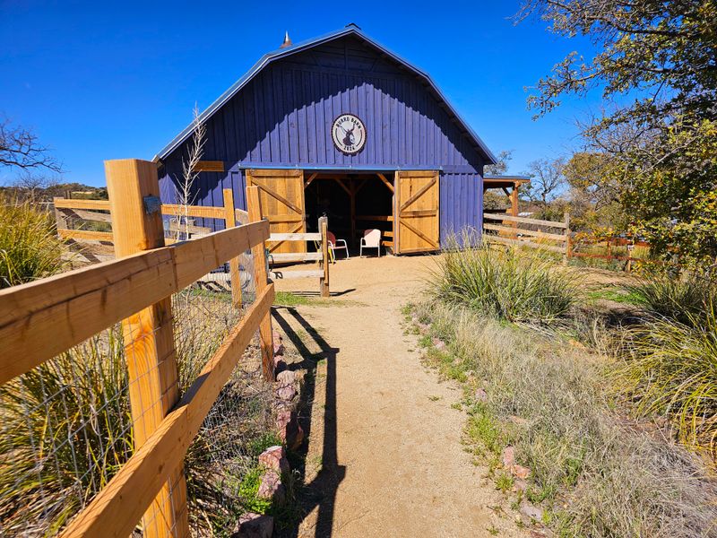 The Setting Encourages Slow Wandering, Not Rushed Visits