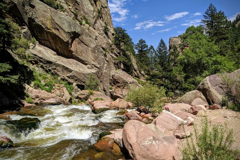 Wildlife Sightings That Feel Straight Out Of A Nature Documentary