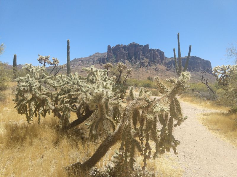 The Park's Rich History And Cultural Significance