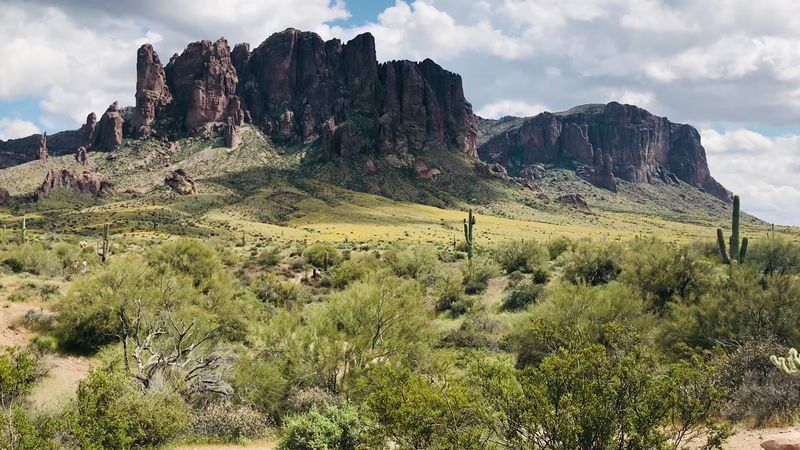 Wildlife Watching In The Heart Of The Arizona Desert