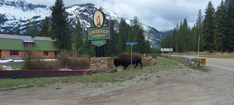 Log Cabins, Rustic Lodges, And Old-West Charm