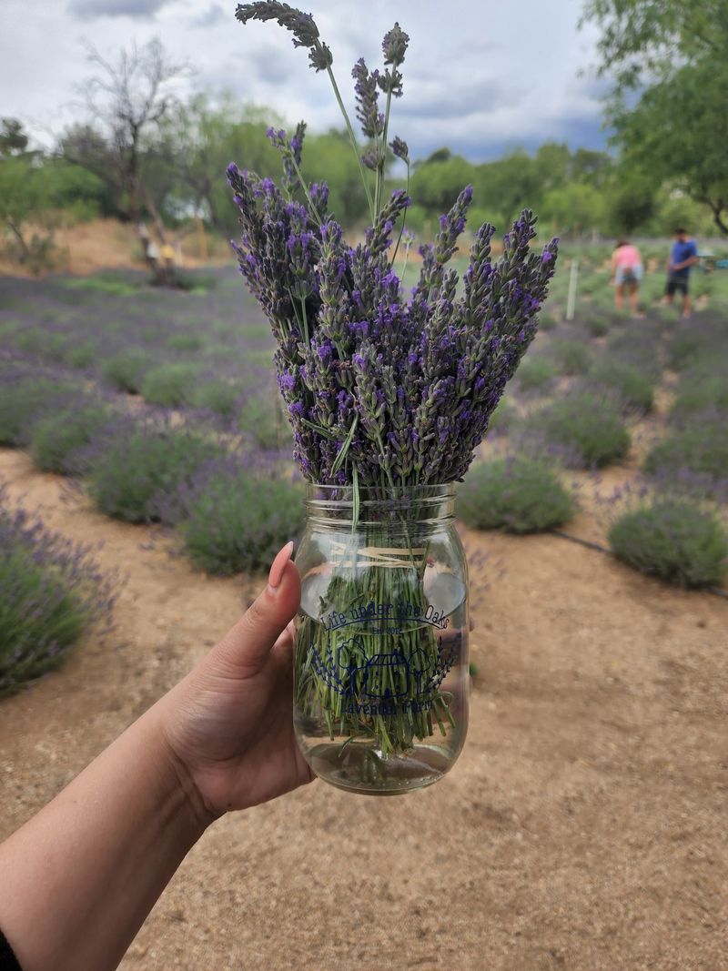 Bloom Season Is When The Farm Truly Comes Alive