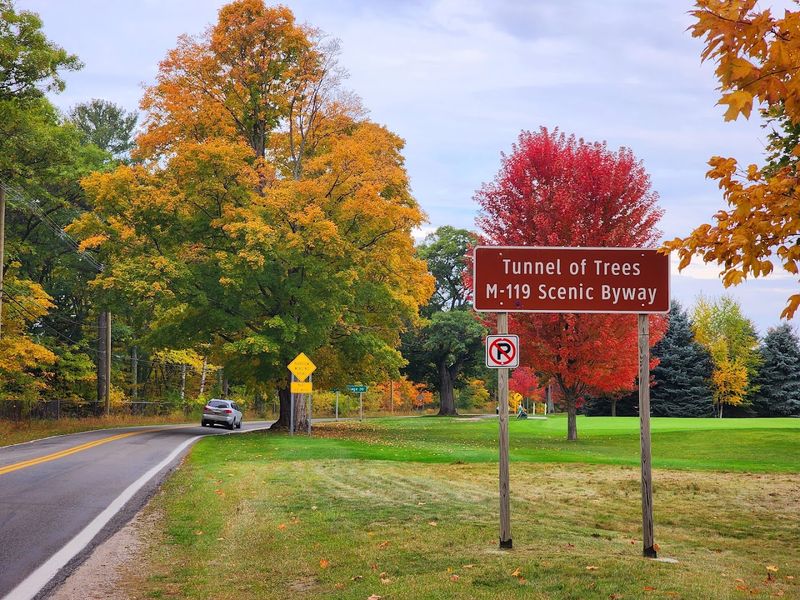 Sagtikos Manor: Where History Meets Natural Splendor