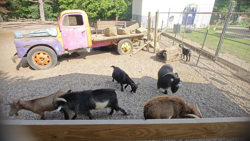 Located In Historic Rempel's Grove