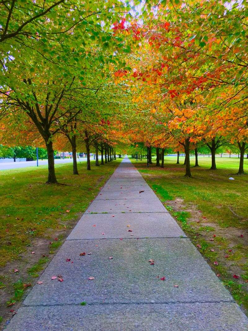 A Green That Works Like A Front Porch For The Entire Village