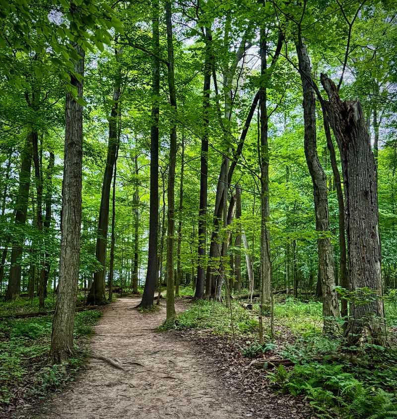 The Changing Seasons Give The Park Multiple Personalities