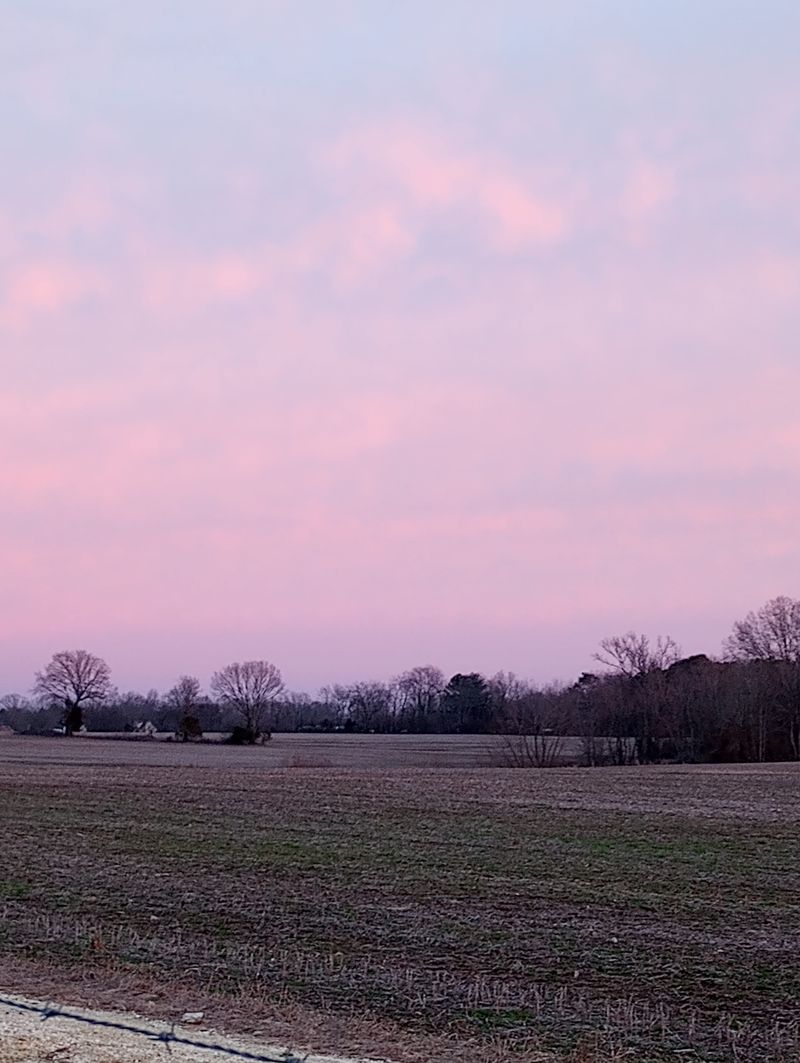 Fieldwork In Measured Motion