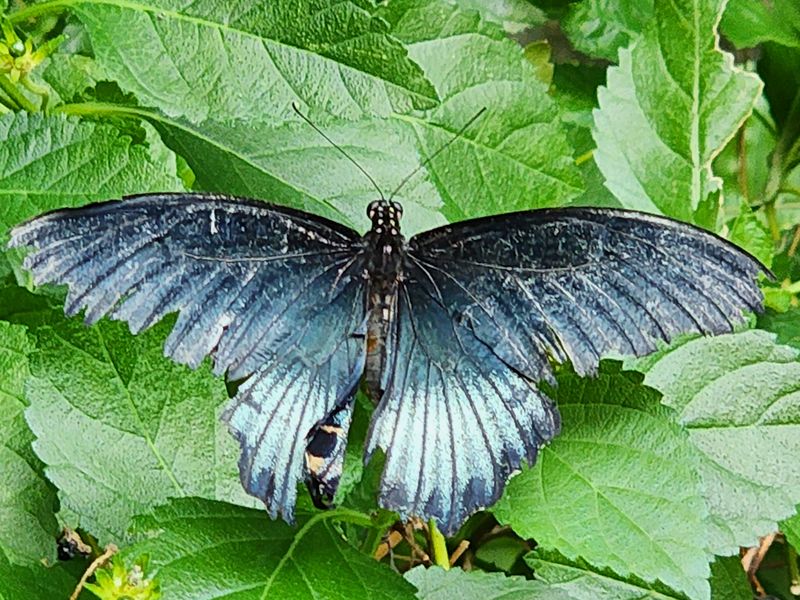 Colors That Change With Your Pace