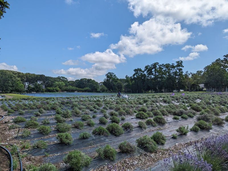 Photography Without The Rush