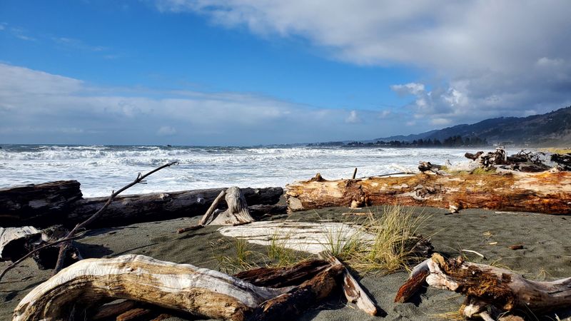 Expansive Sand And Driftwood-Strewn Dunes