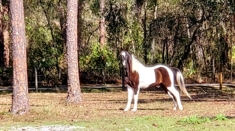 Surrounded By Forests And Rolling Countryside