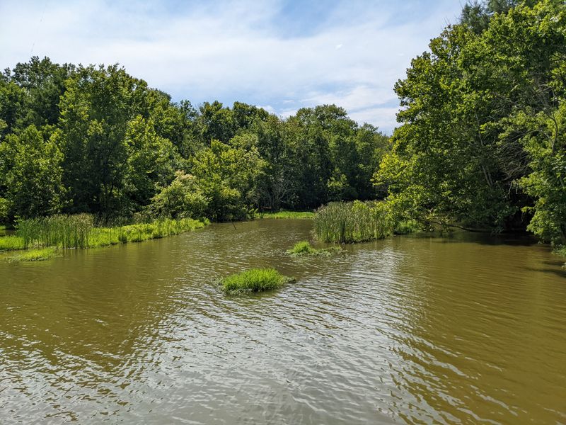 History Beneath The Oaks