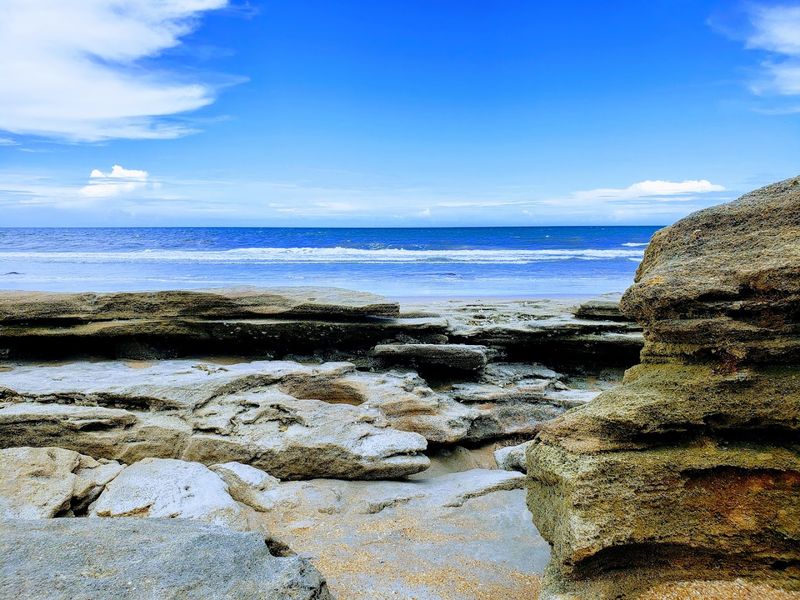 Explore Florida's Unique Coquina Rock Beach At Washington Oaks Gardens