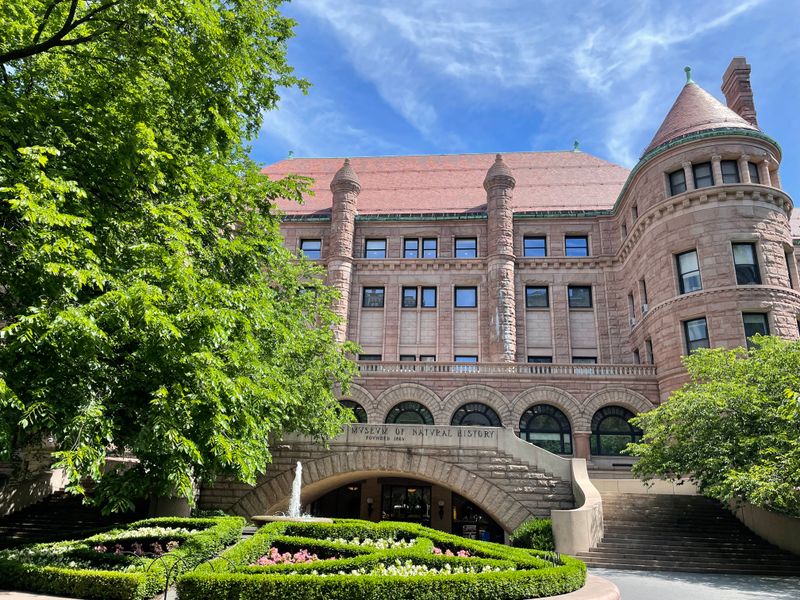 The Giant Amethyst Geodes That Stop Conversations