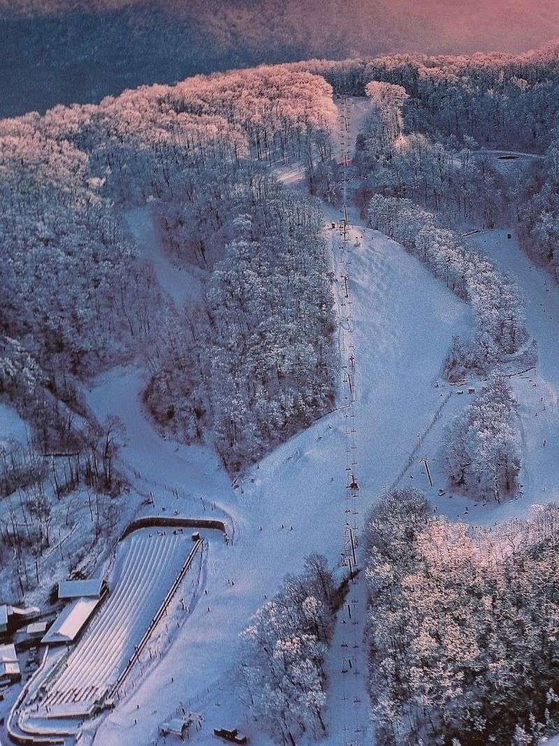 Ski Runs For Steady Progress