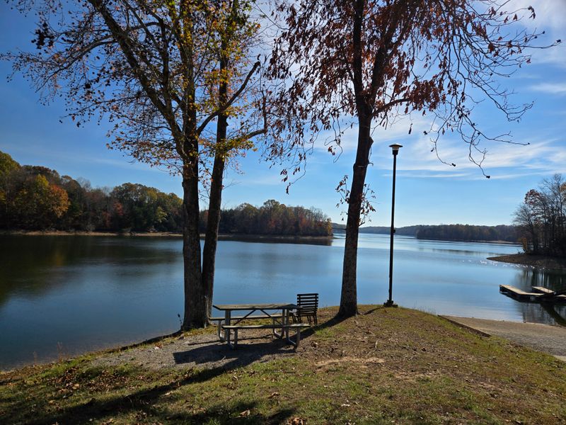 Quiet Coves Made For Birds And Unhurried Watching