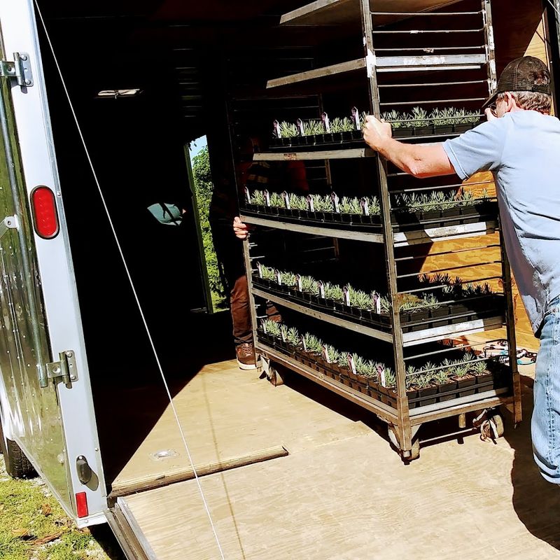 Conversations With A Patient Grower