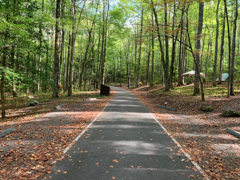 Snake Den Ridge To Inadu Prong Junction