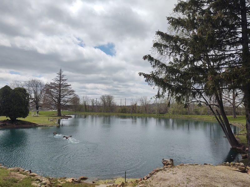 Plenty Of Parks And Green Space