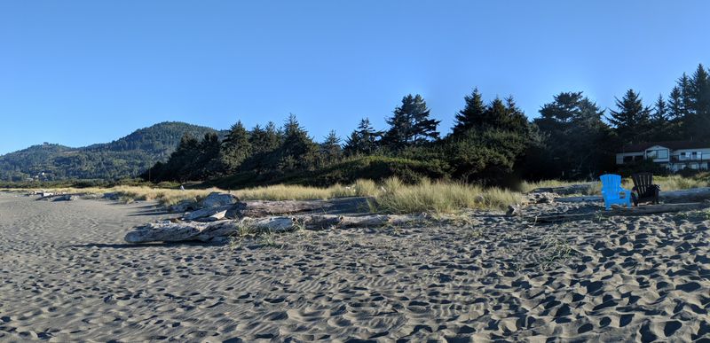 Close To Redwood Forest Trails