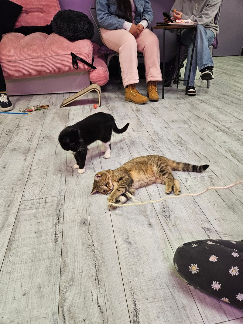 Etiquette For Kids And Groups