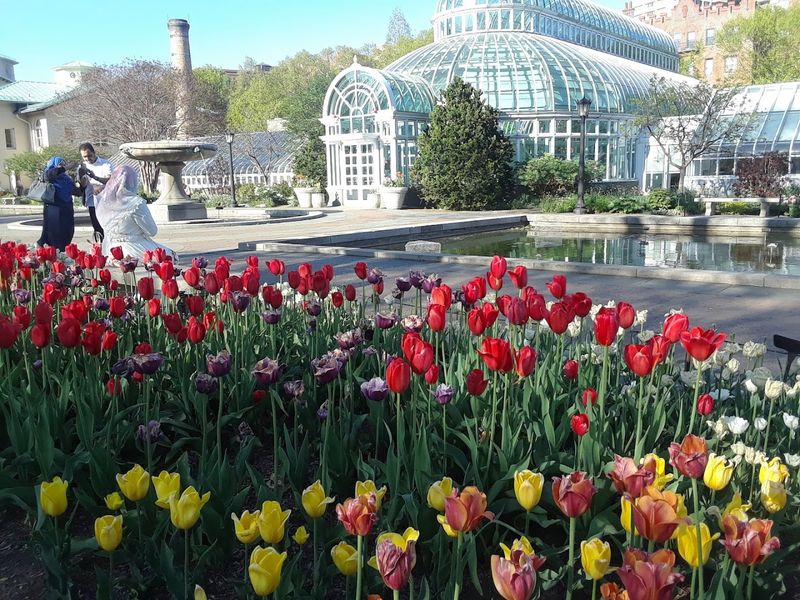 Visit For Free With Your Brooklyn Library Card