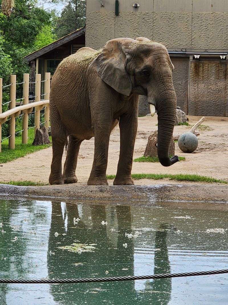 Photography Without Losing The Moment