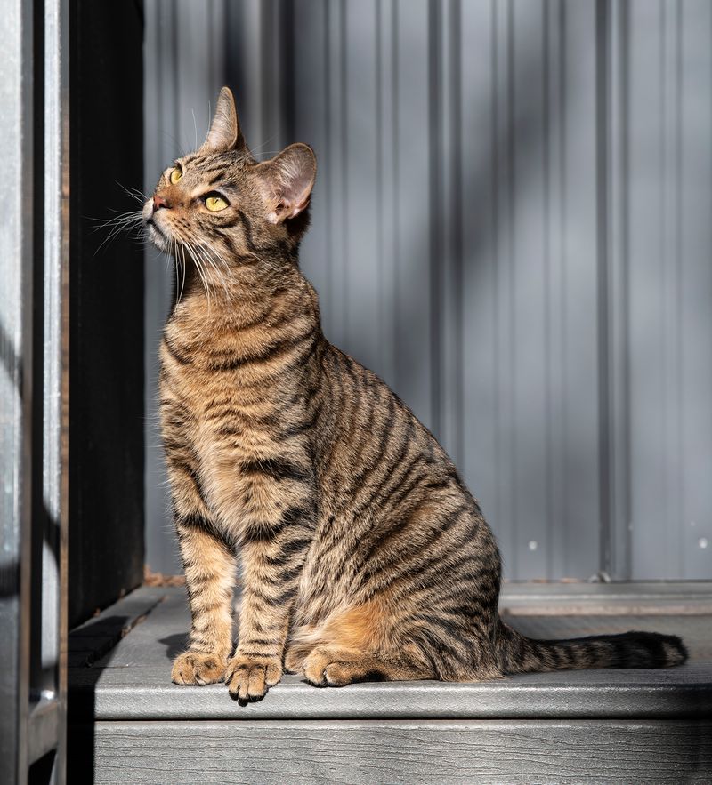 Service That Balances Warmth And Watchfulness