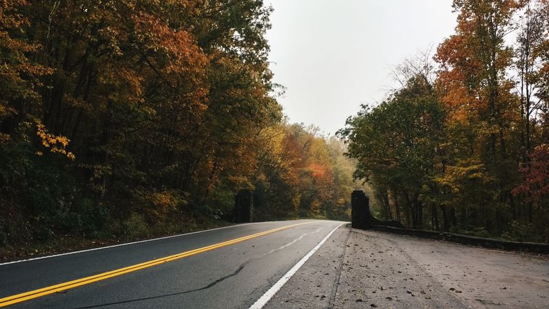 The Domain’s Trails And Their Honest Miles