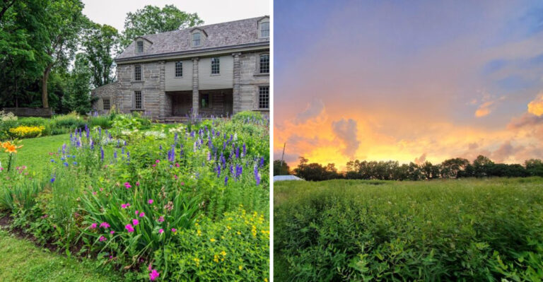 America’s Oldest Botanic Garden Still Stands As One Of Pennsylvania’s Most Overlooked Gems