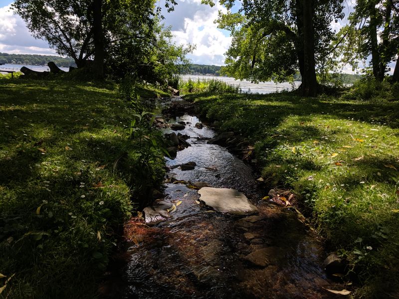 Cottages, Camps, And The Art Of Staying Put