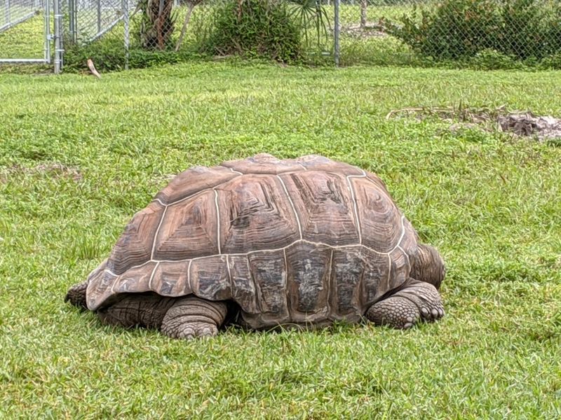 Learn About Conservation And Wildlife Protection