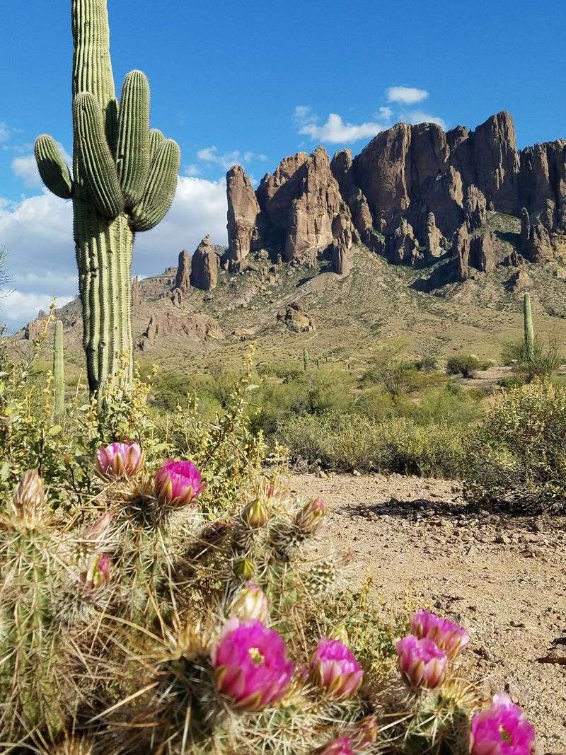 A Desert Gem At The Foot Of The Superstition Mountains