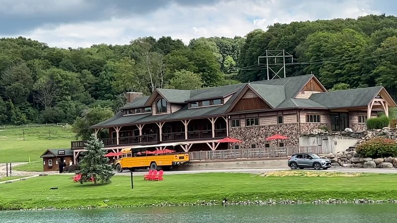 Choosing Between Self-Drive And Guided Safari